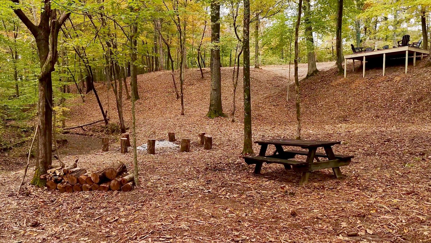 7368 Overbey Road Fairview, TN 37062 - Photo 3 of 19