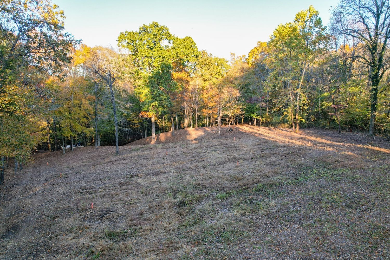 7368 Overbey Road Fairview, TN 37062 - Photo 5 of 19