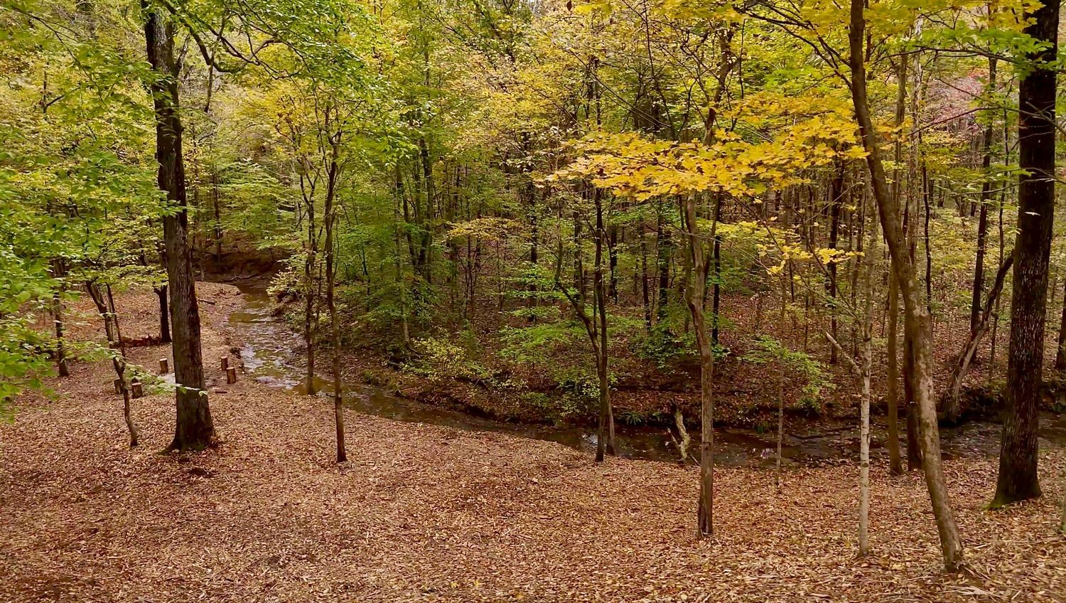 7368 Overbey Road Fairview, TN 37062 - Photo 6 of 19