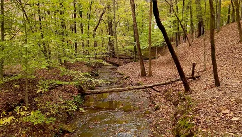 $349,000 | 7368 Overbey Road, Fairview, TN 37062