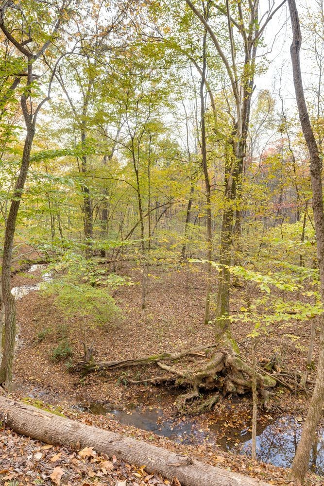 7368 Overbey Road Fairview, TN 37062 - Photo 9 of 19