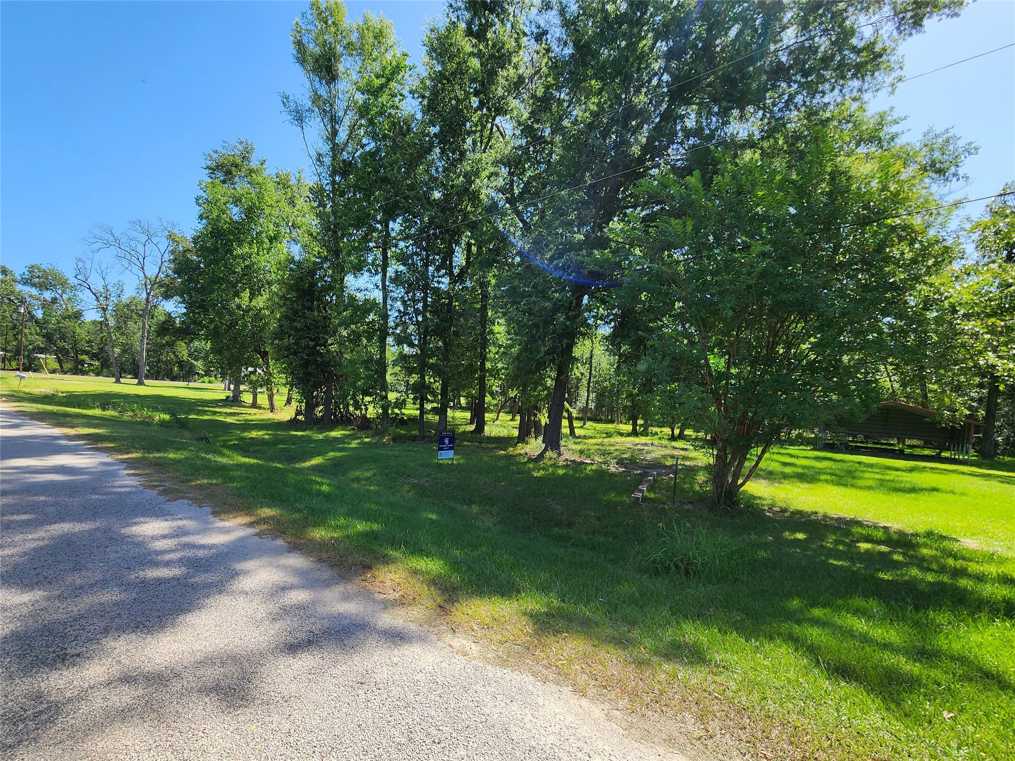 0 Armadillo Rd. Drive Trinity, TX 75862 - Photo 7 of 21