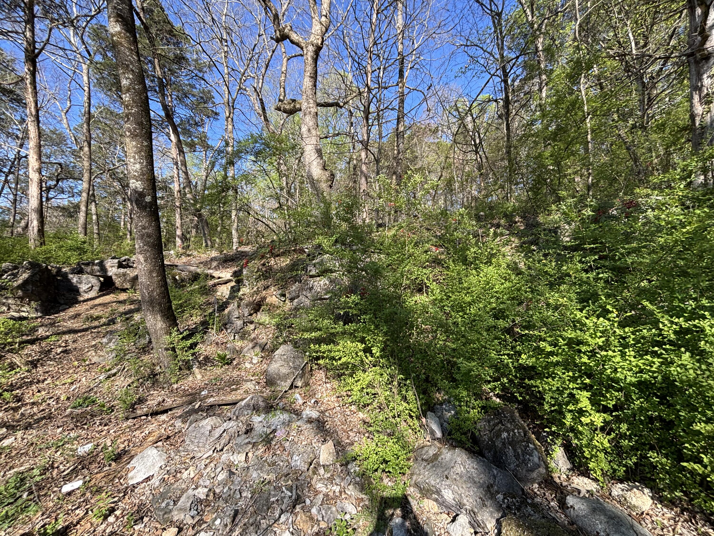 1530 Burning Bush Road Ringgold, GA 30736 - Photo 39 of 43 IMG_9697