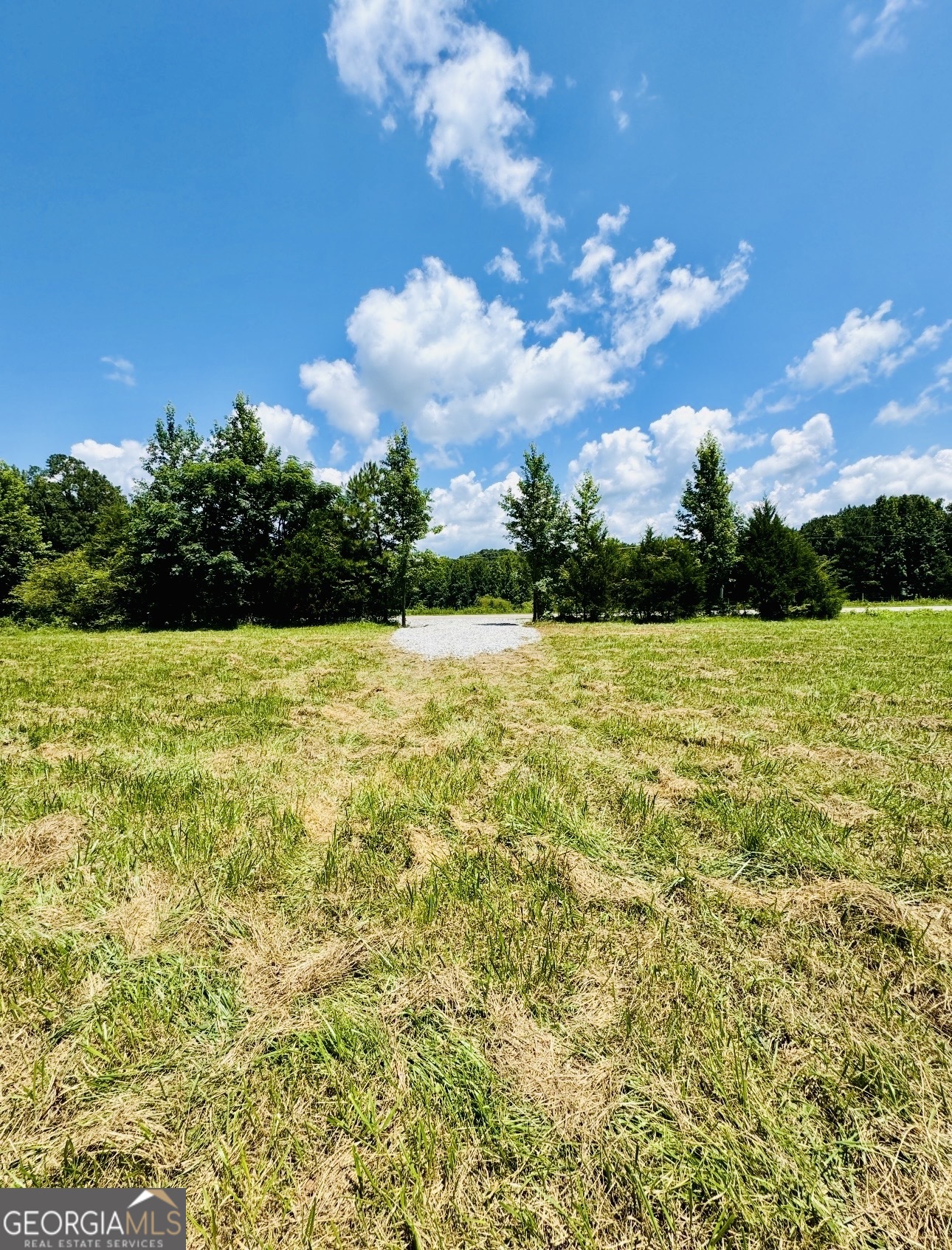 0 Willowood Road LaGrange, GA 30241 - Photo 4 of 27