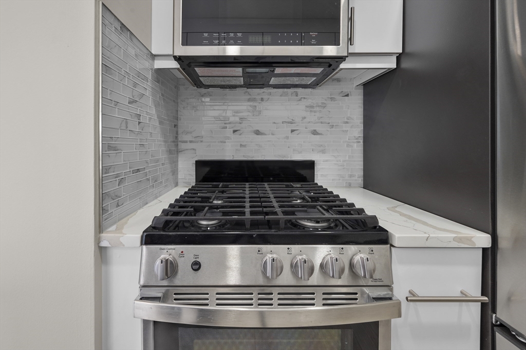 151 Tremont Street, Unit 18M Boston, MA 02111 - Photo 15 of 35 a close view of a stove