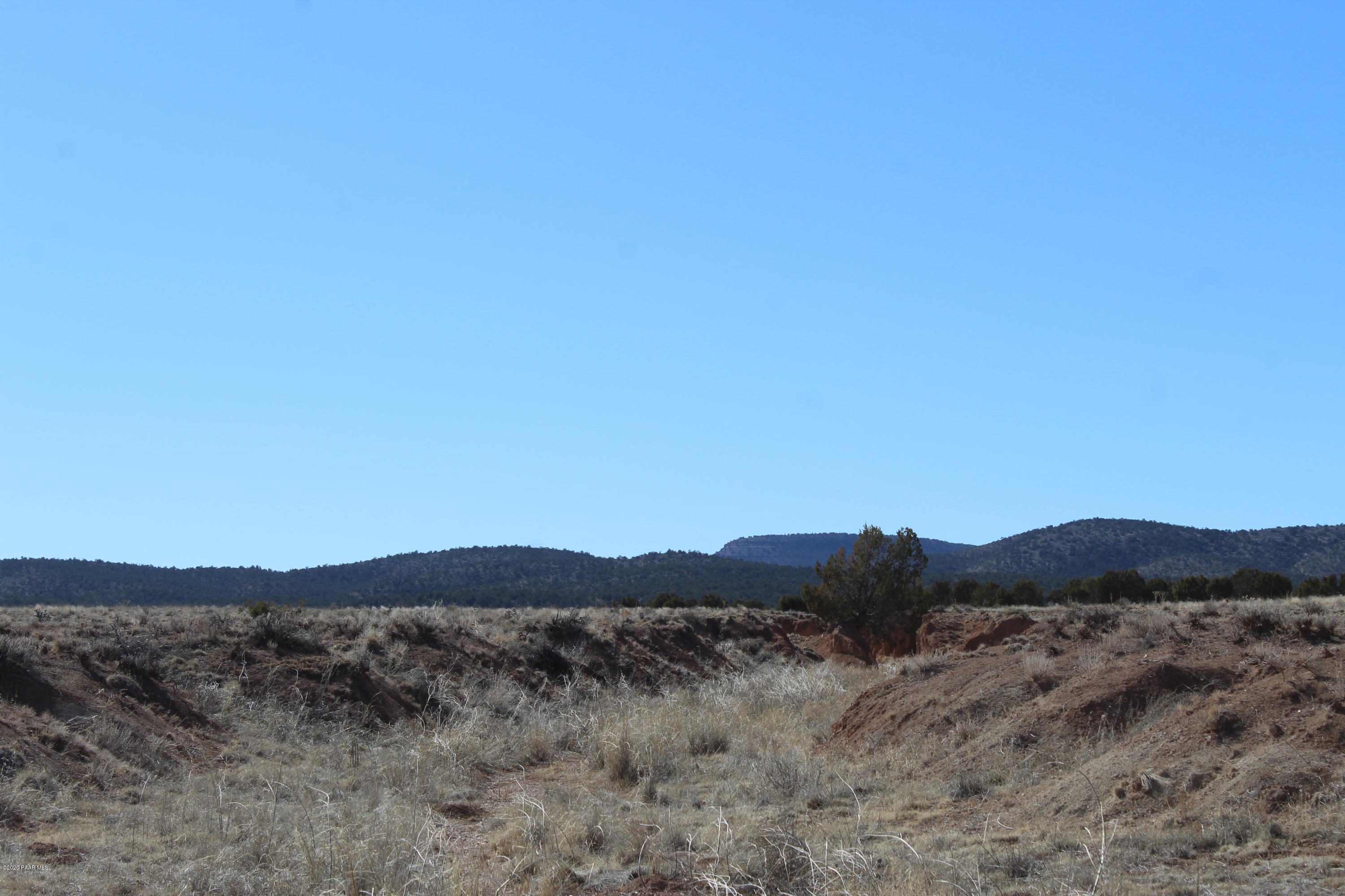 43555 Williamson Valley Road Seligman, AZ 86337 - Photo 10 of 10 IMG_4731
