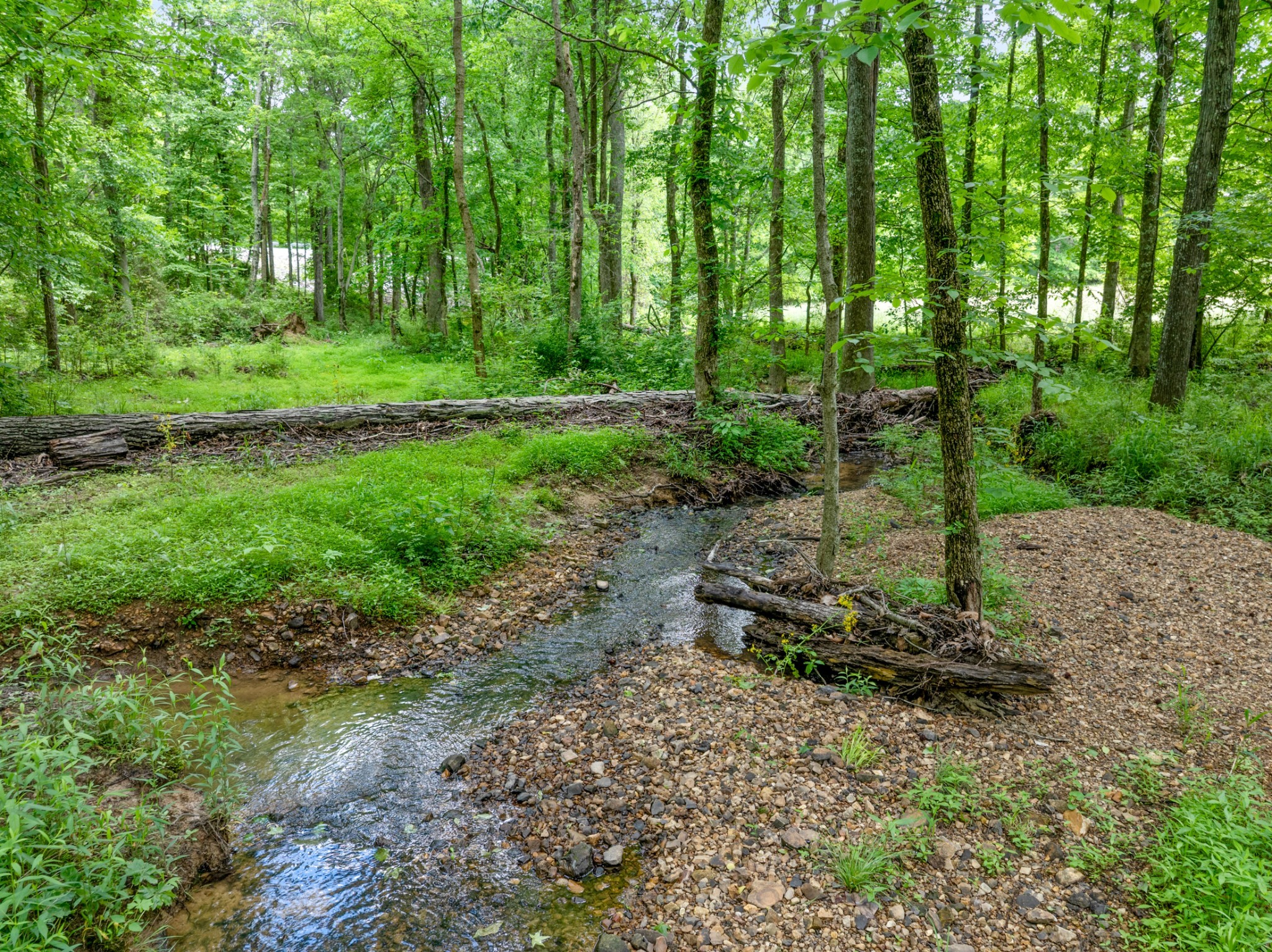 3791 Sylvia Road Dickson, TN 37055 - Photo 74 of 82 a view of a park with a tree