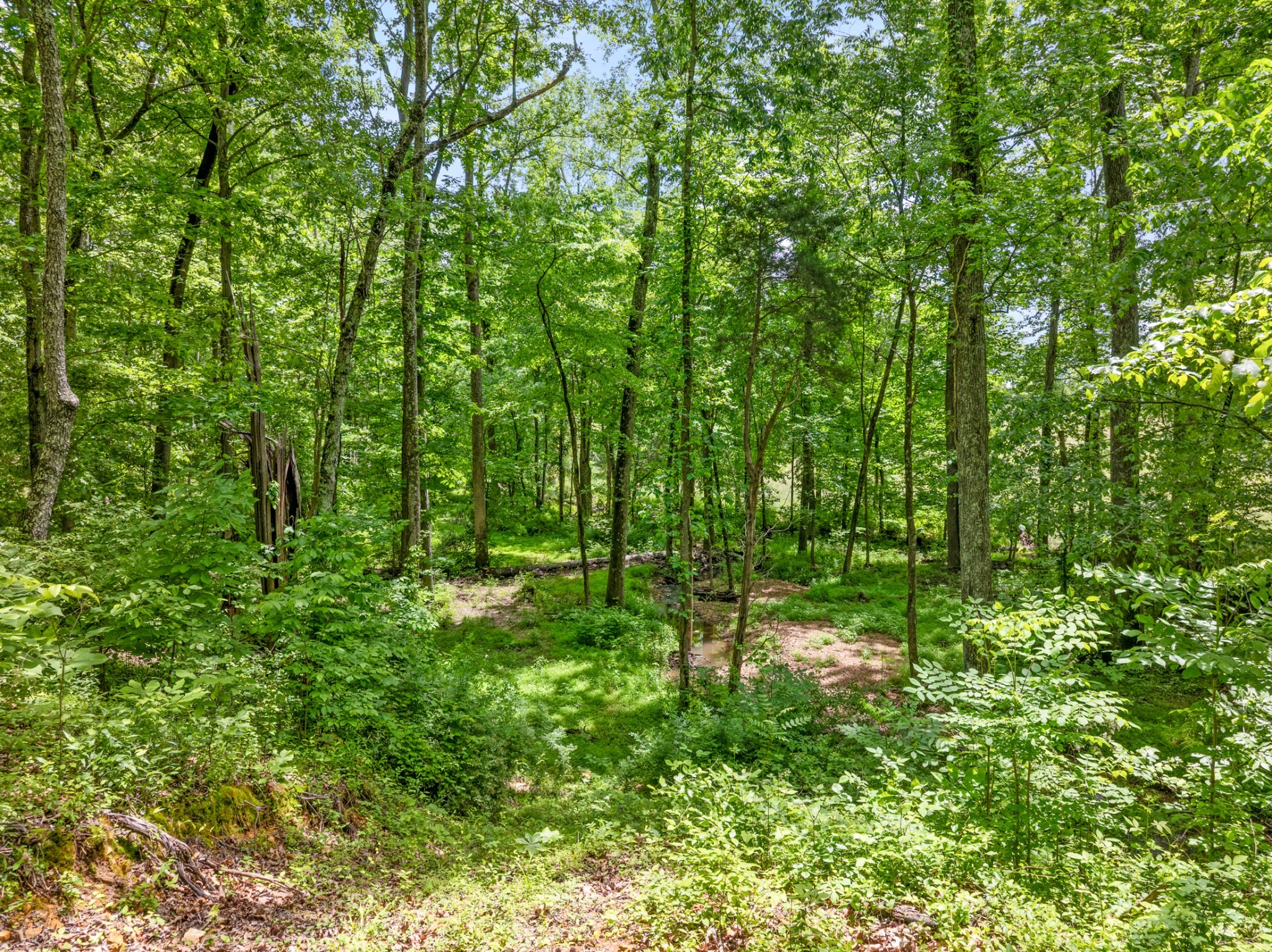 3791 Sylvia Road Dickson, TN 37055 - Photo 75 of 82 a backyard of a house with lots of green space