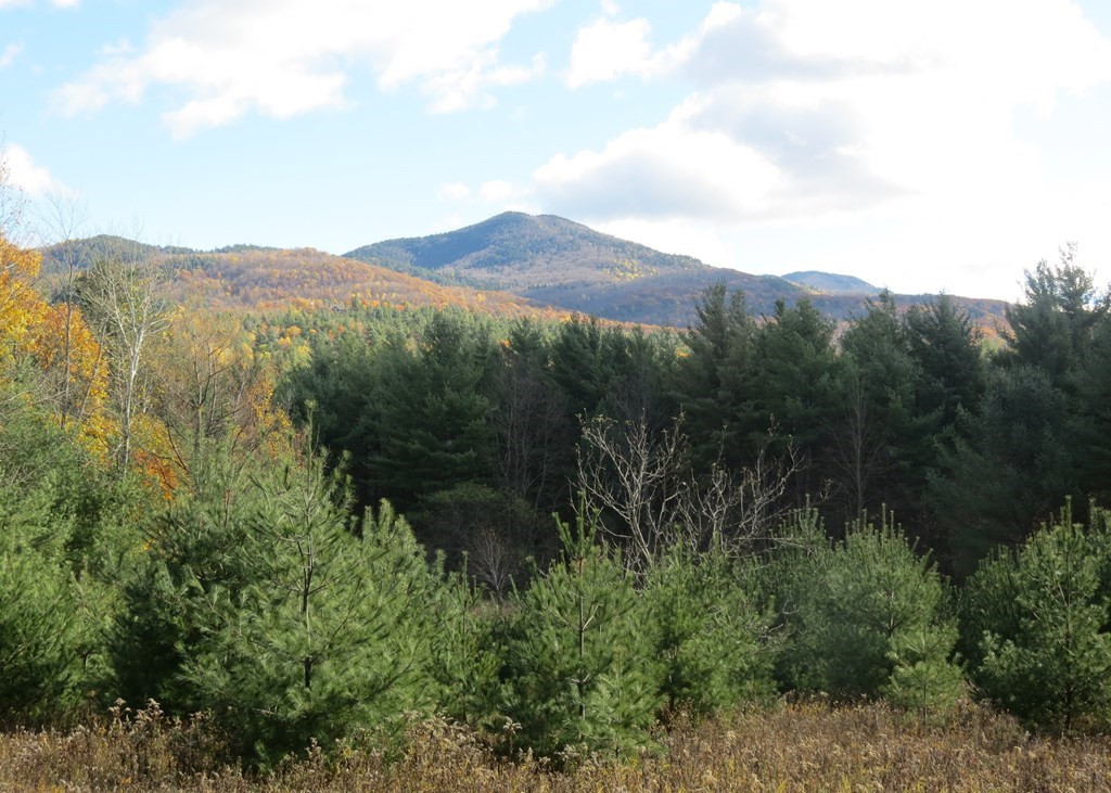 357 Upper Jay-Trumbulls Corners Road Jay, NY 12941 - Photo 4 of 10