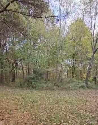 37 Risch Road North Webberville, MI 48892 - Photo 10 of 20