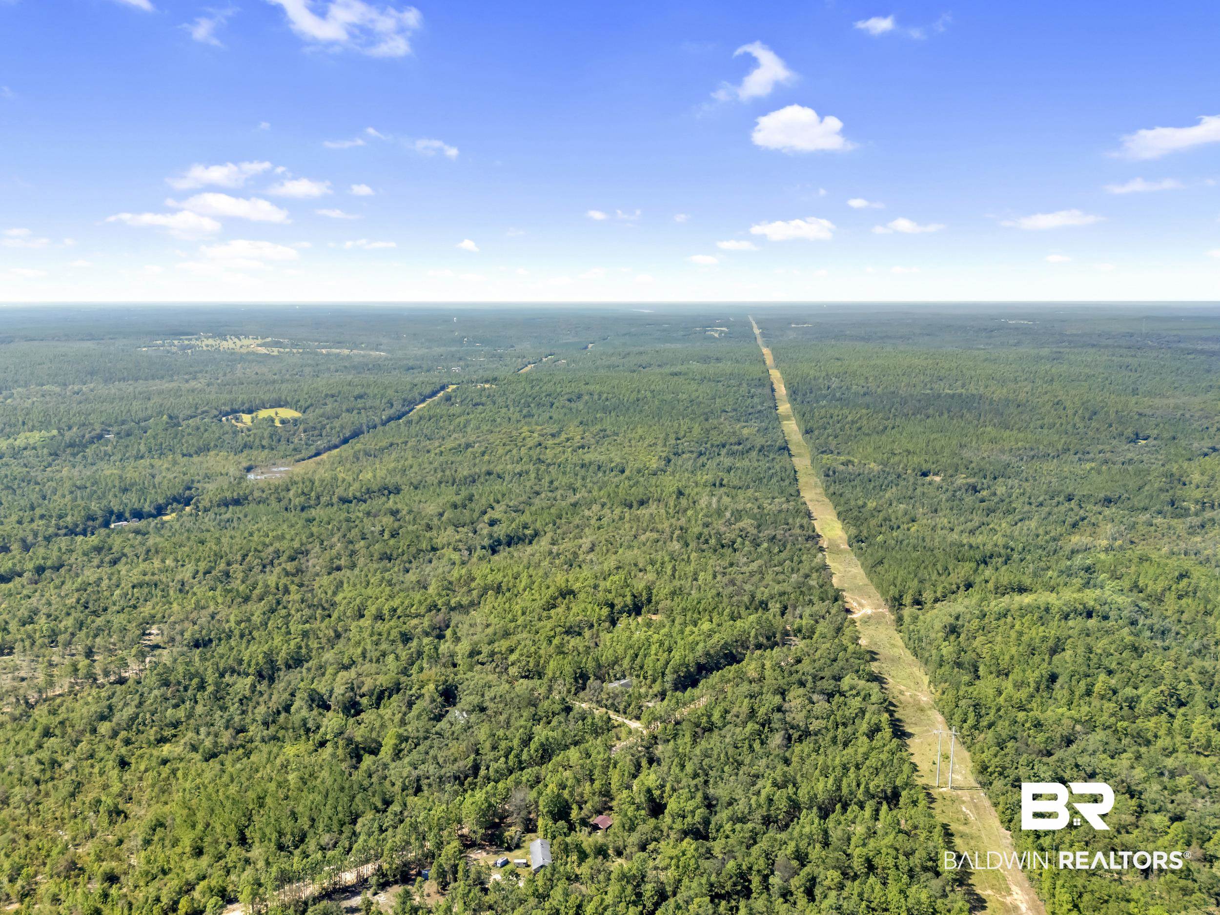 0 Arden Road Chunchula, AL 36521 - Photo 15 of 18 Bird's eye view of a heavily wooded area