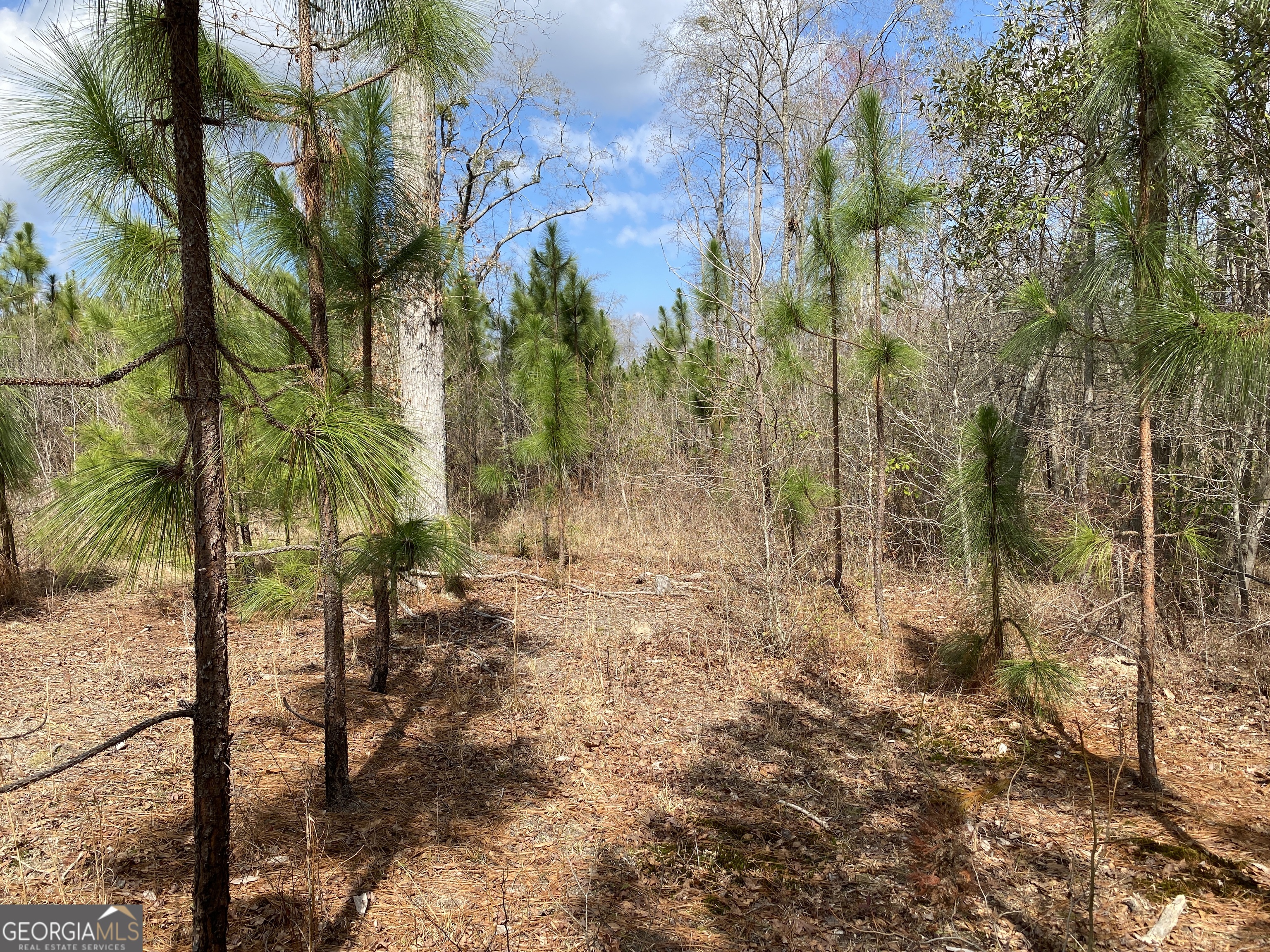 0 Baker Road Waverly Hall, GA 31831 - Photo 2 of 6 a view of backyard of house