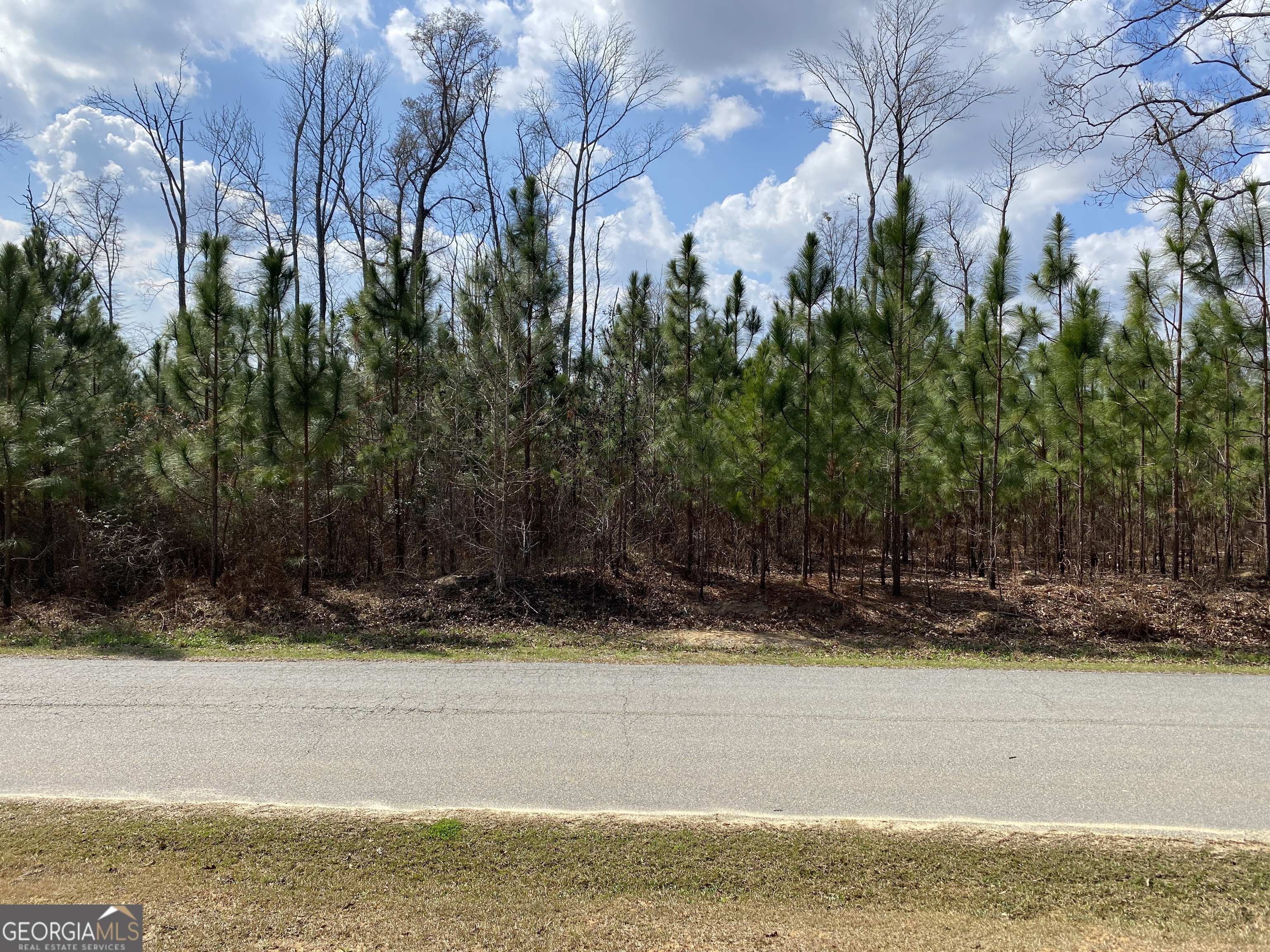 0 Baker Road Waverly Hall, GA 31831 - Photo 3 of 6 a view of a yard with a house