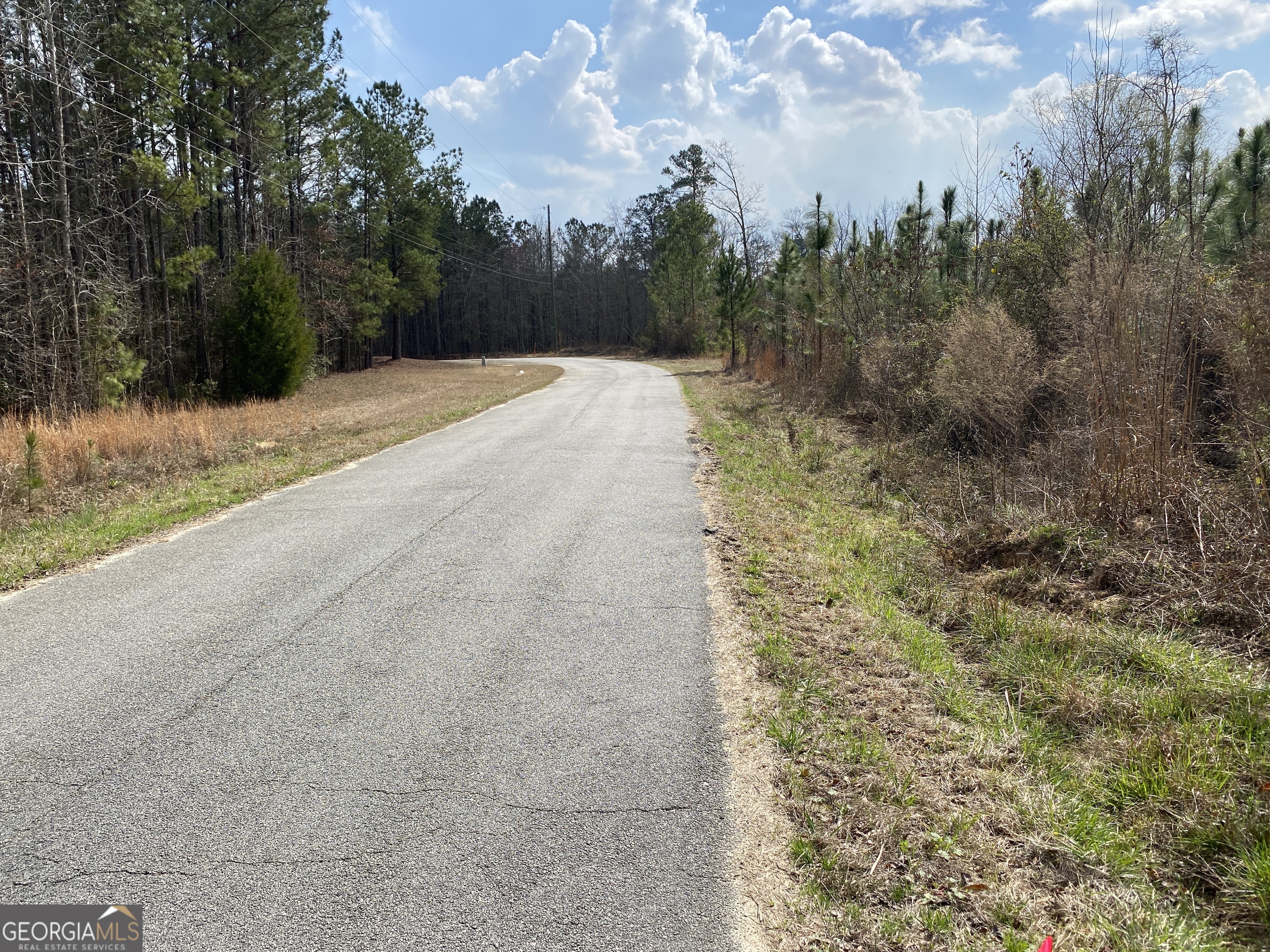 0 Baker Road Waverly Hall, GA 31831 - Photo 4 of 6