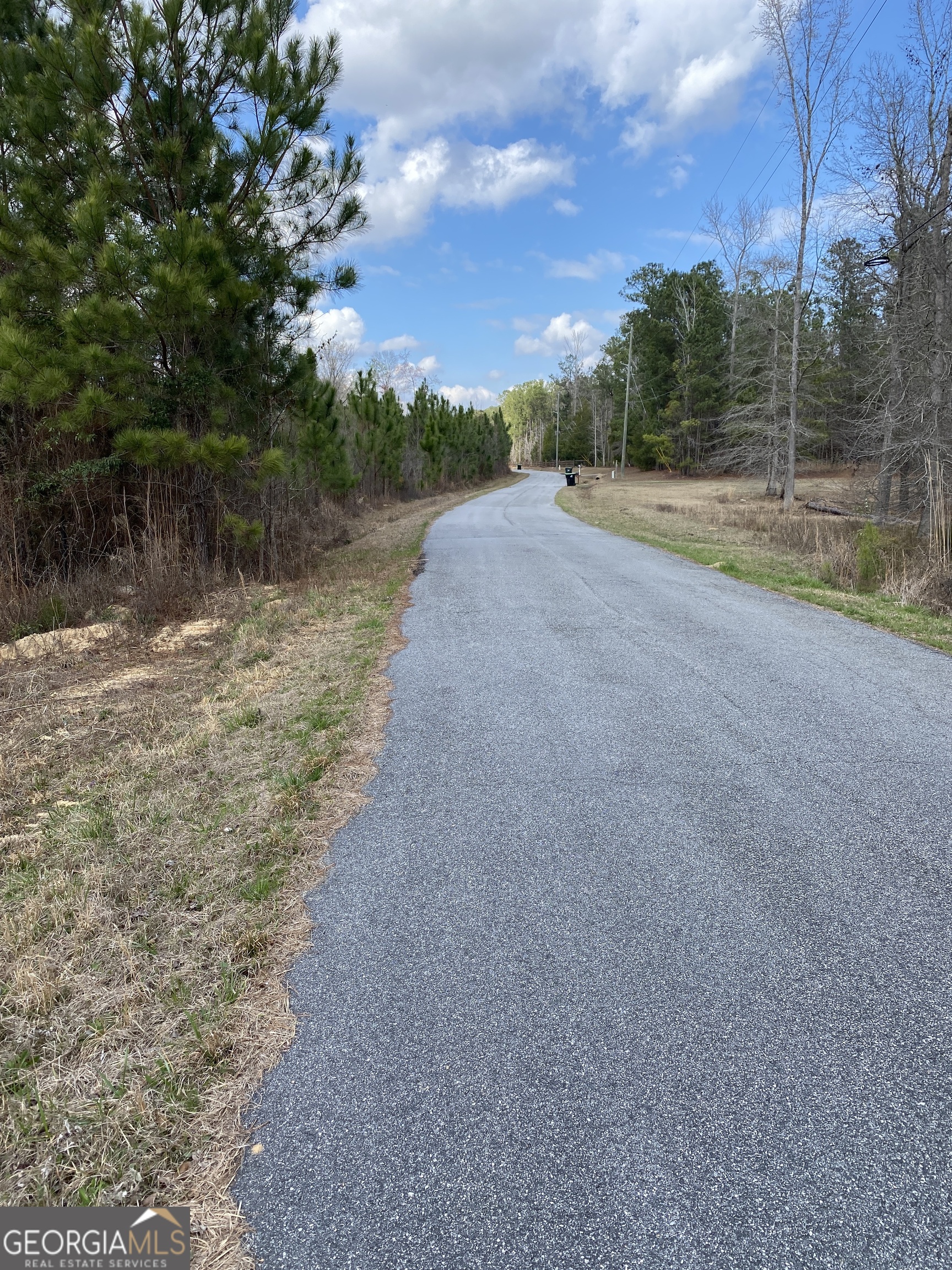 0 Baker Road Waverly Hall, GA 31831 - Photo 5 of 6 a view of a road with a yard