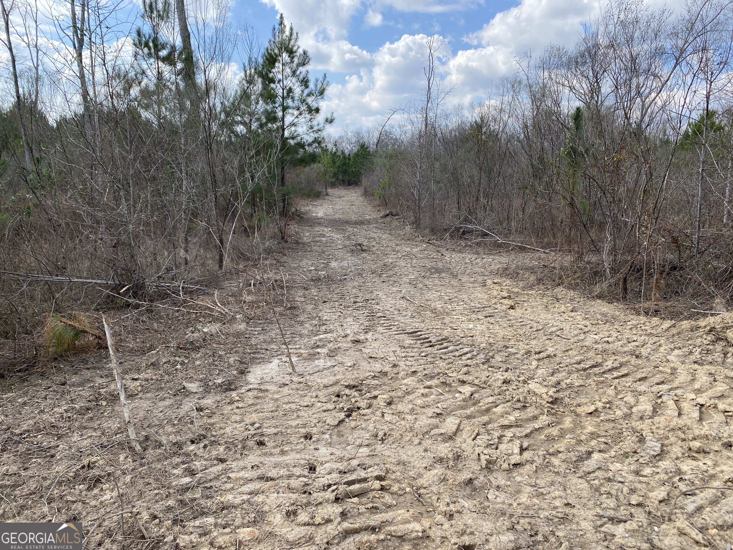 0 Baker Road Waverly Hall, GA 31831 - Photo 6 of 6 a view of a yard with trees