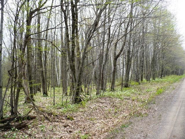 Sec 35 Cloverdale Road Stanley, WI 54771 - Photo 1 of 1