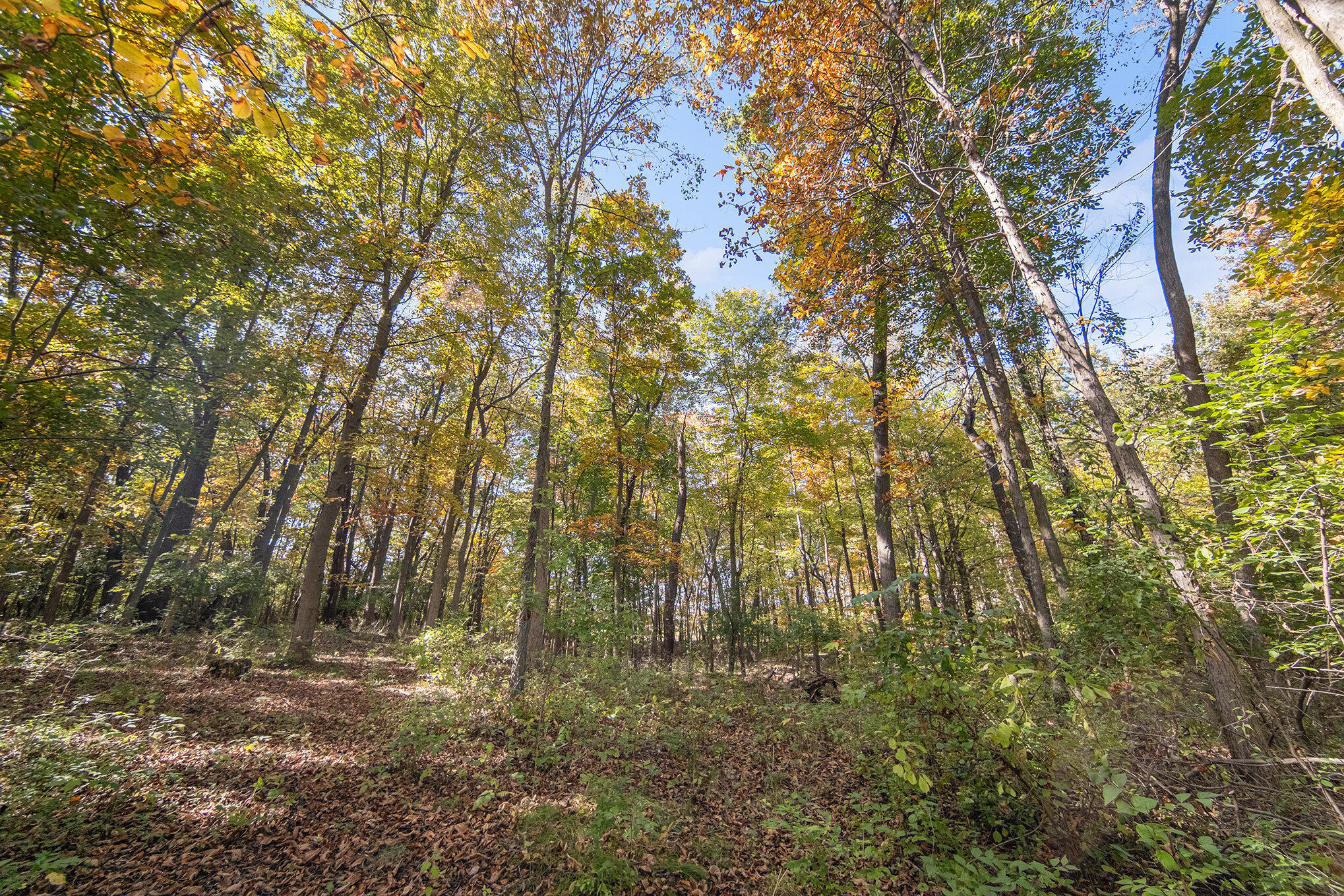 1540 Wetherby Road Clarklake, MI 49234 - Photo 27 of 30 026_sbp_52_222