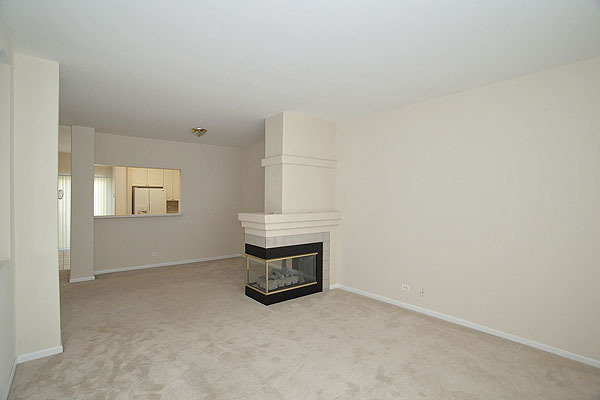 3448 Ravinia Circle Aurora, IL 60504 - Photo 16 of 20 an empty room with windows