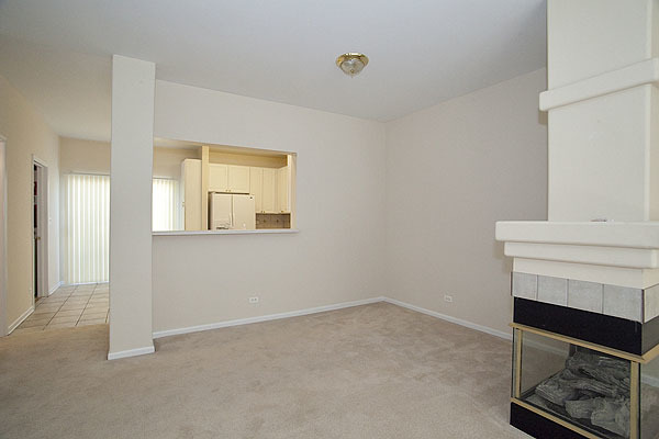 3448 Ravinia Circle Aurora, IL 60504 - Photo 18 of 20 an empty room with windows and fireplace