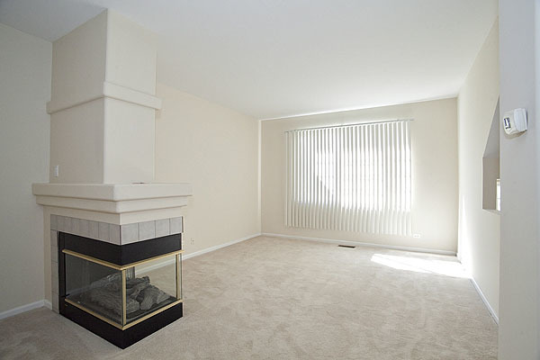 3448 Ravinia Circle Aurora, IL 60504 - Photo 3 of 20 a room with furniture and a fireplace