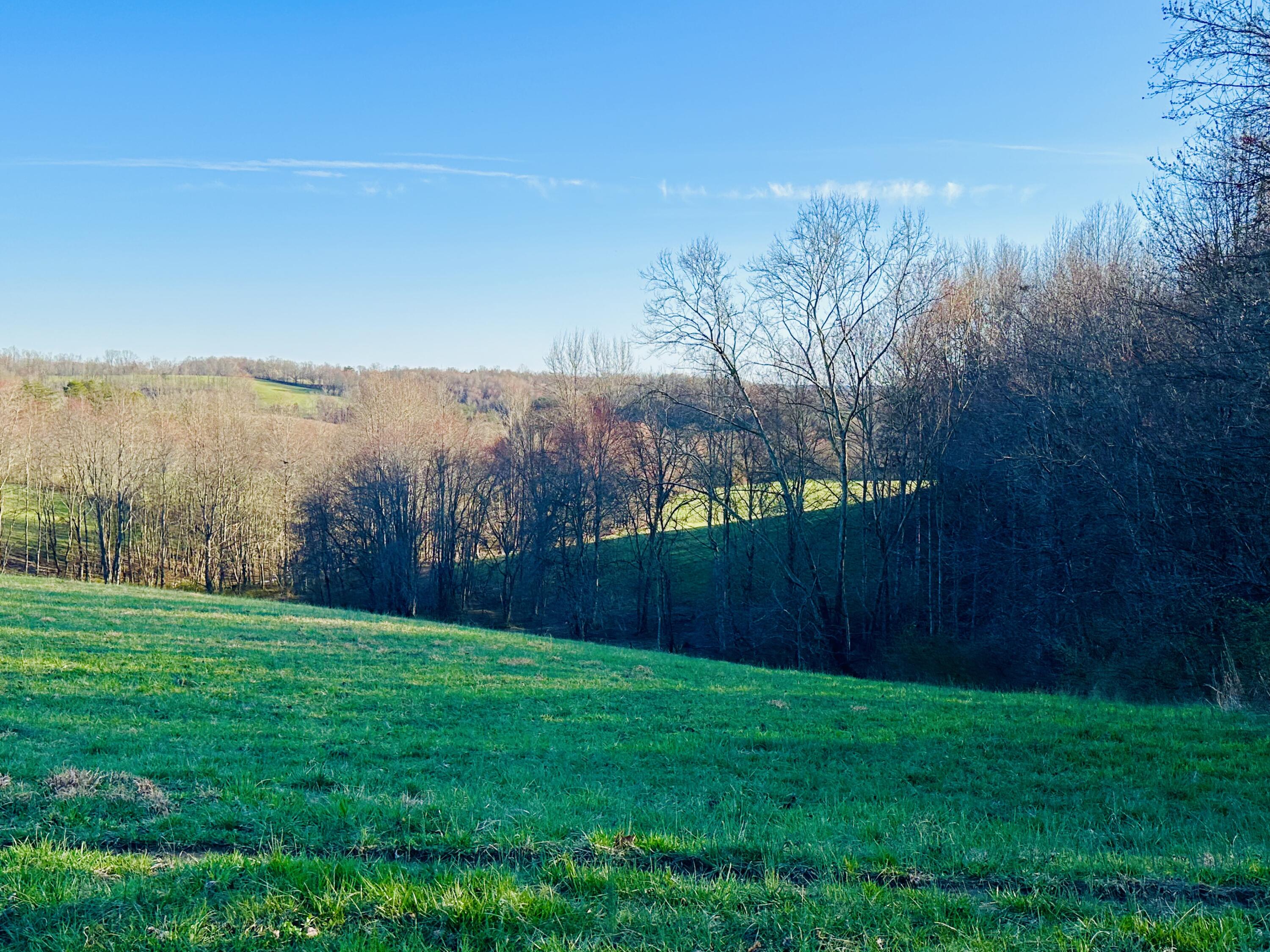 2 Eberle Road McKee, KY 40447 - Photo 13 of 14 IMG_7803