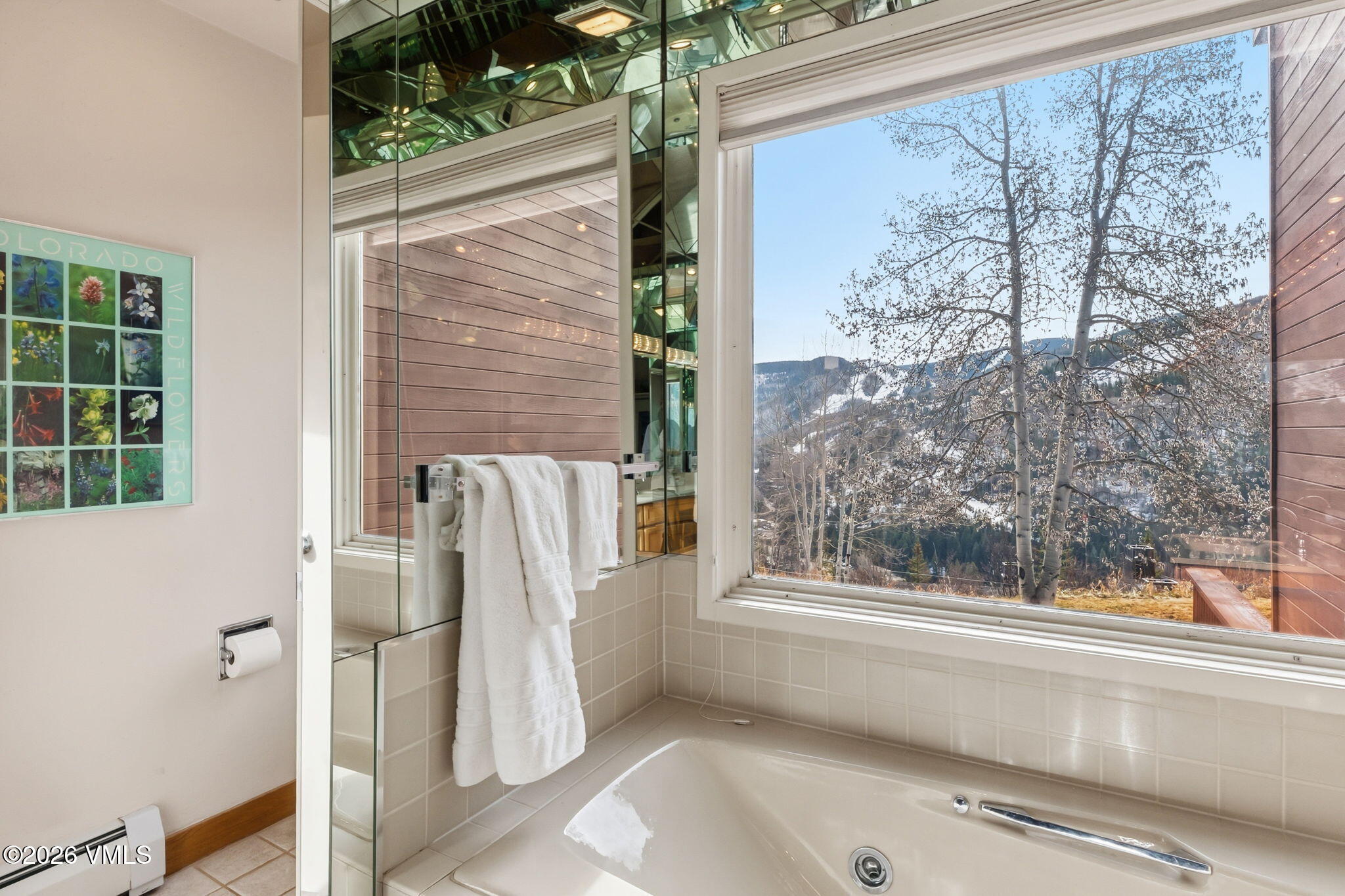 1460 Ridge Lane, Unit D Vail, CO 81657 - Photo 8 of 18 a view of bathroom with a tub and shower
