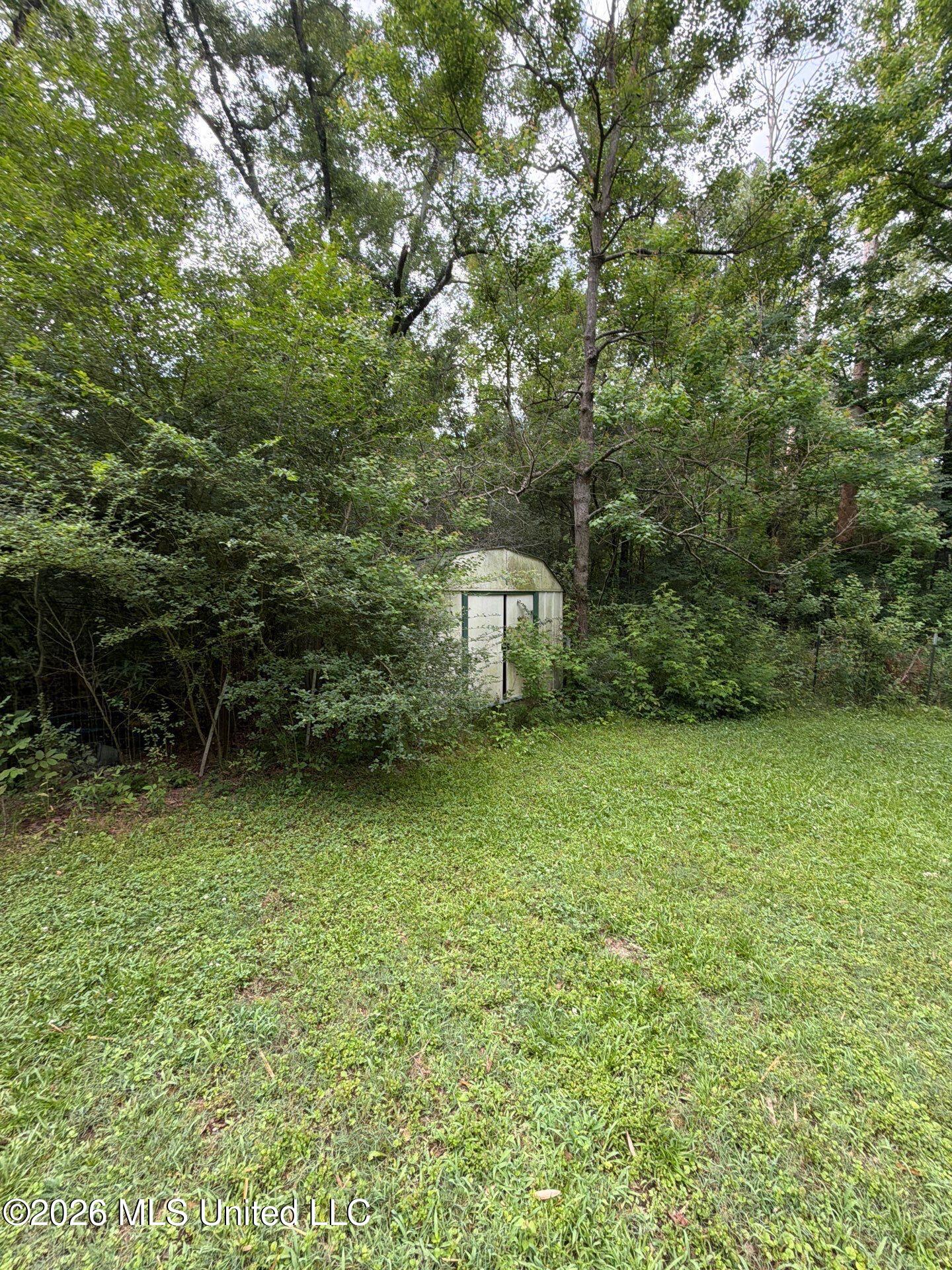 118 Canterbury Road Brandon, MS 39042 - Photo 6 of 60 11-May 19, 2026 13-06-05-PUNB