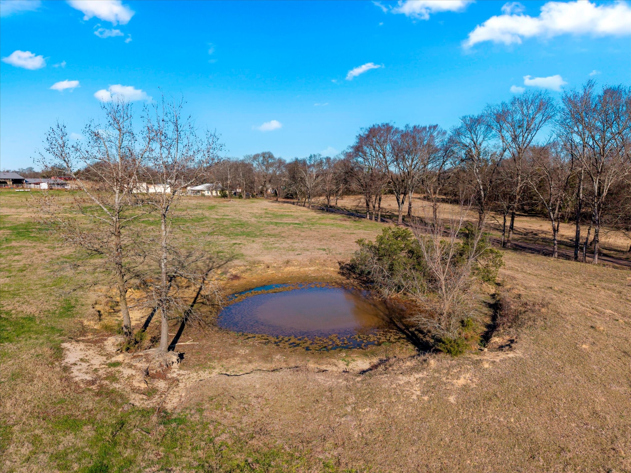 4315 County Road Omaha, TX 75571 - Photo 7 of 19