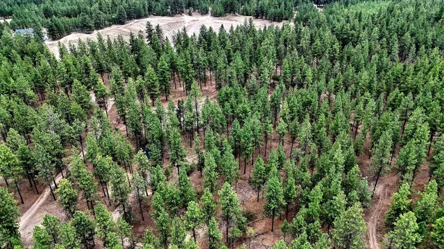 $265,000 | 18505 West Buckboard Avenue, Medical Lake, WA 99022