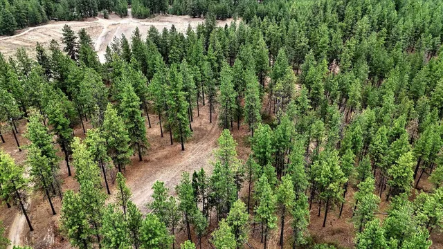 $265,000 | 18505 West Buckboard Avenue, Medical Lake, WA 99022