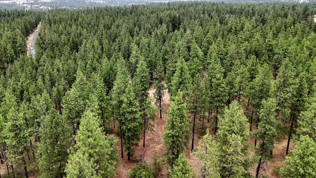 $265,000 | 18505 West Buckboard Avenue, Medical Lake, WA 99022