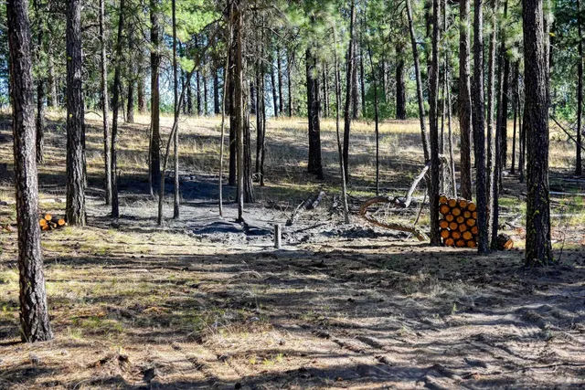 $265,000 | 18505 West Buckboard Avenue, Medical Lake, WA 99022