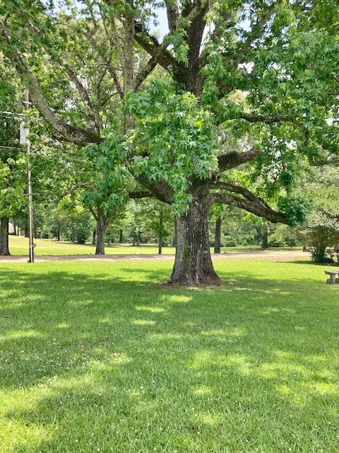2058 Country Club Road McComb, MS 39648 - Photo 40 of 41 Photo 40