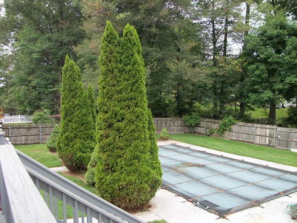 14 Reardon Road Hudson, MA 01749 - Photo 21 of 24 Gallery Image 21