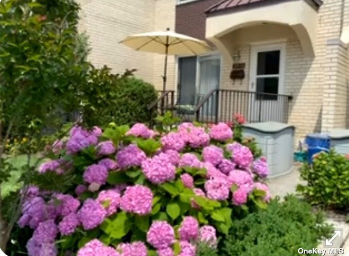 a pink flowers in front of the house