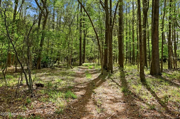 $999,999 | 2639 Highway 211, Clarkton, NC 28433