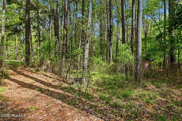 $999,999 | 2639 Highway 211, Clarkton, NC 28433