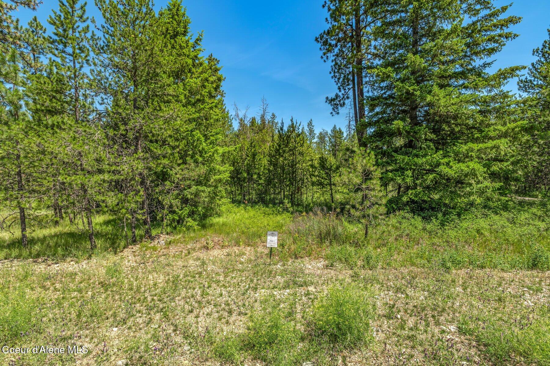 Lot 8 Dawson Loop Athol, ID 83801 - Photo 5 of 10 --5.jpg-SMALL