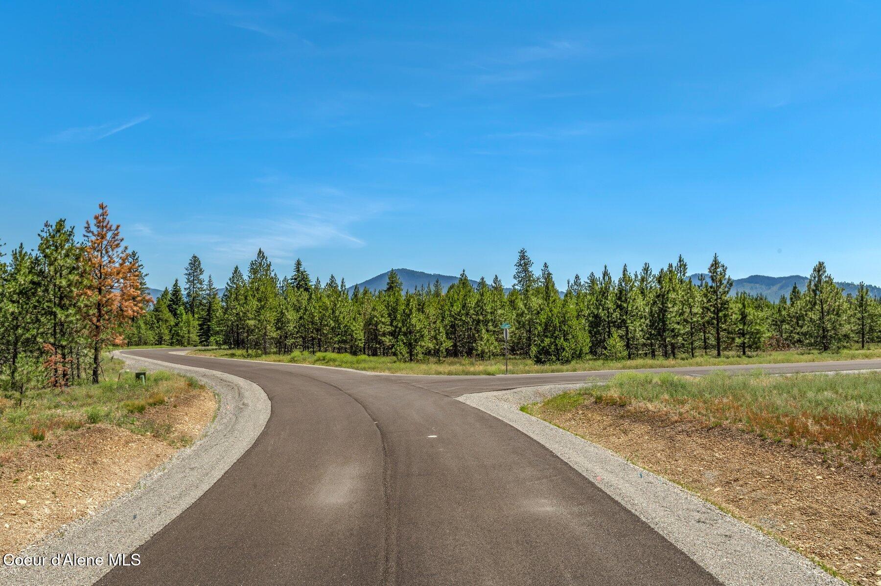 Lot 8 Dawson Loop Athol, ID 83801 - Photo 7 of 10 --18.jpg-SMALL