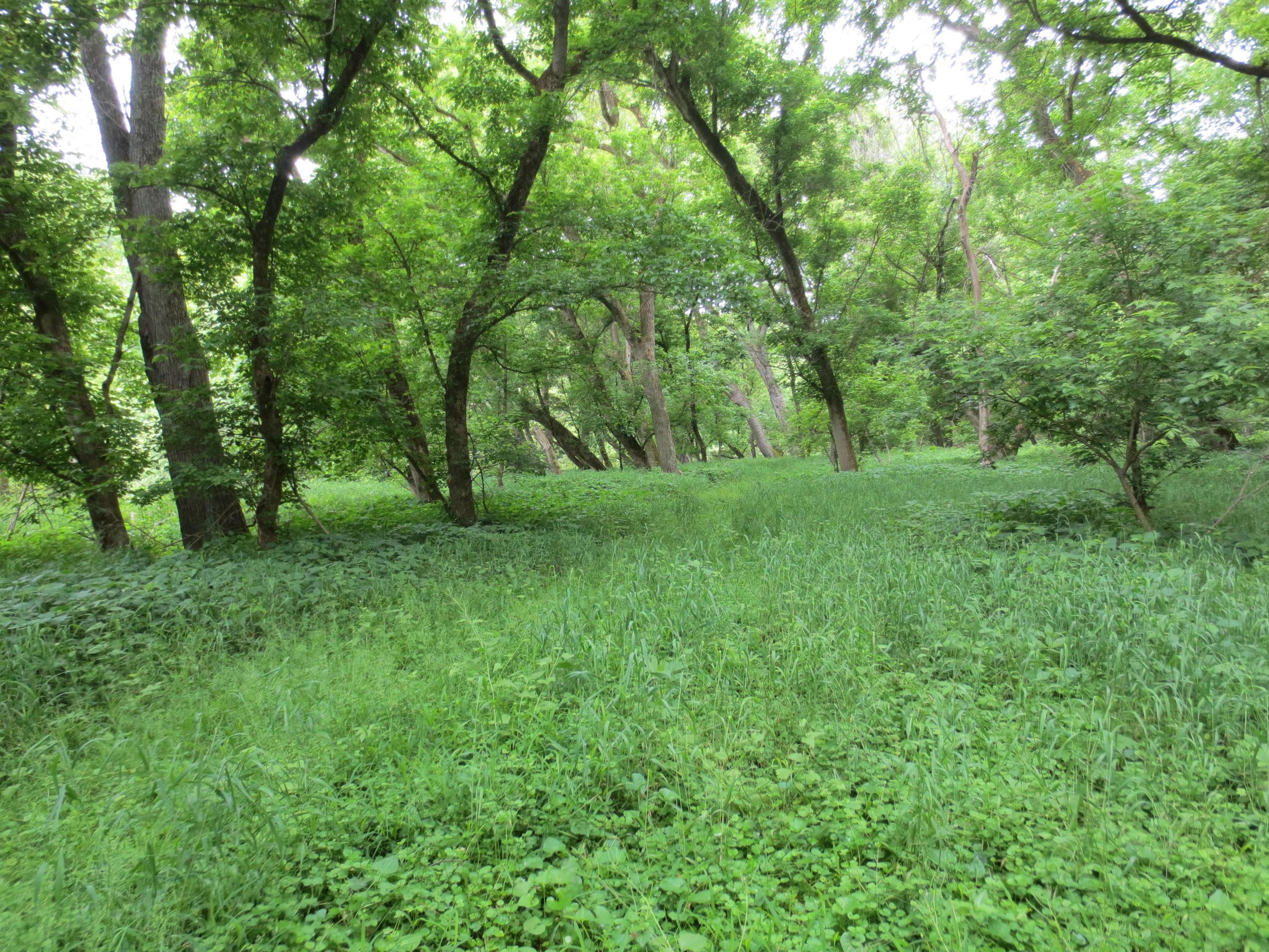 0 Well Road, Unit 78 ACRES Logan, OH 43138 - Photo 14 of 17 Gallery Image 14