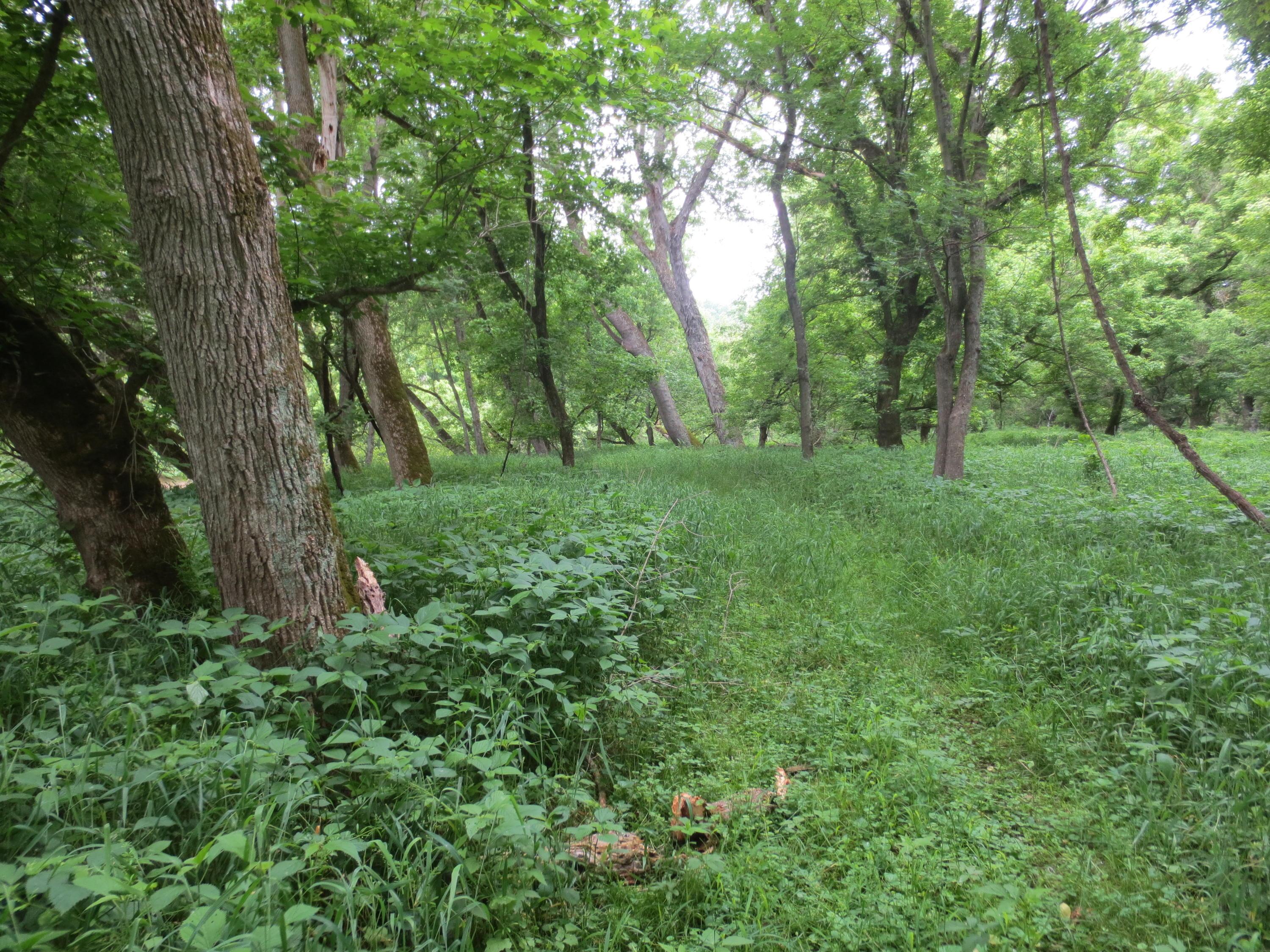 0 Well Road, Unit 78 ACRES Logan, OH 43138 - Photo 8 of 17 Gallery Image 8