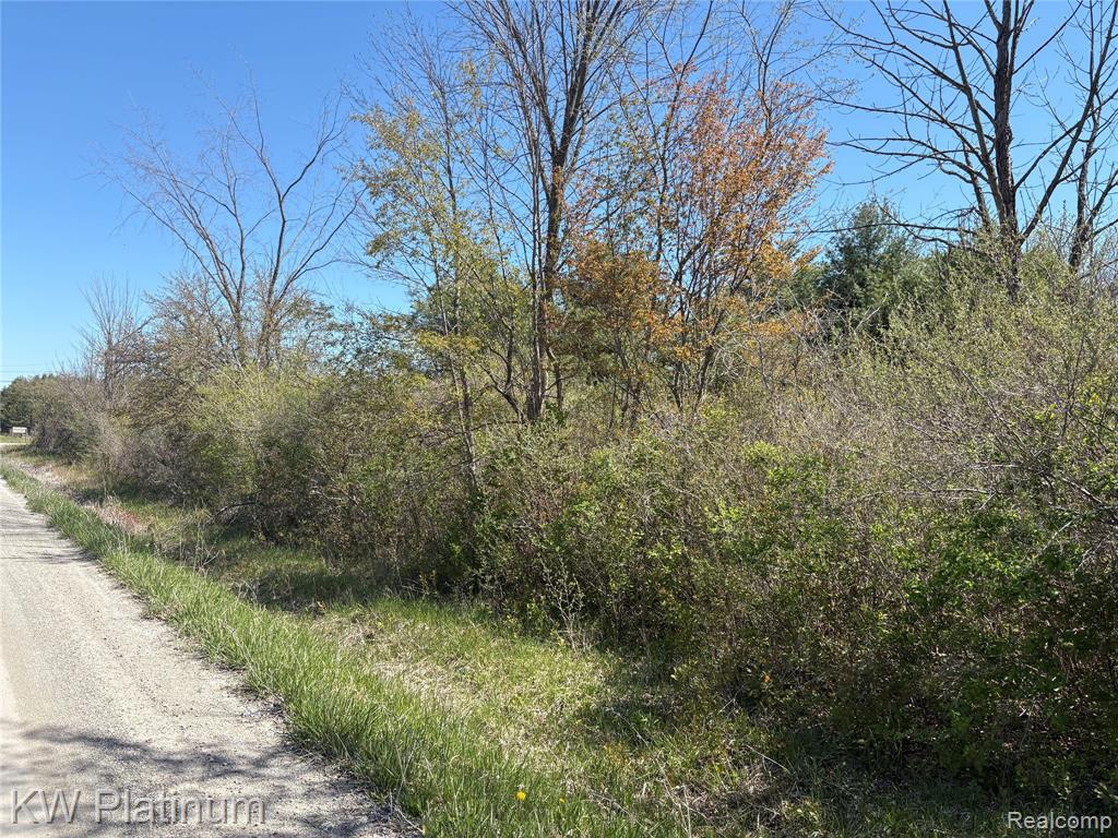 0 North Road Fort Gratiot, MI 48059 - Photo 18 of 18