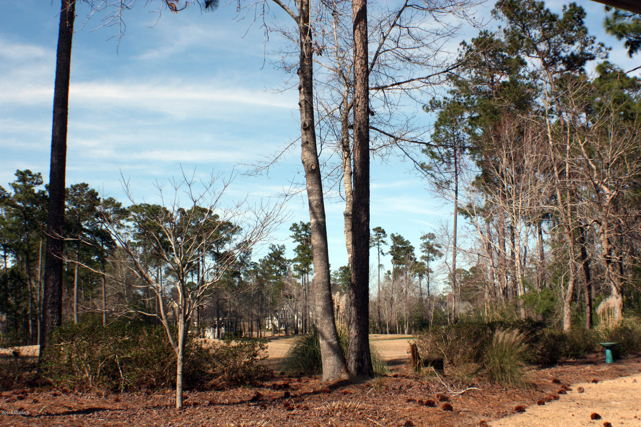 587-1 River Ridge Road Shallotte, NC 28470 - Photo 8 of 44 RE Ground Level Golf Views