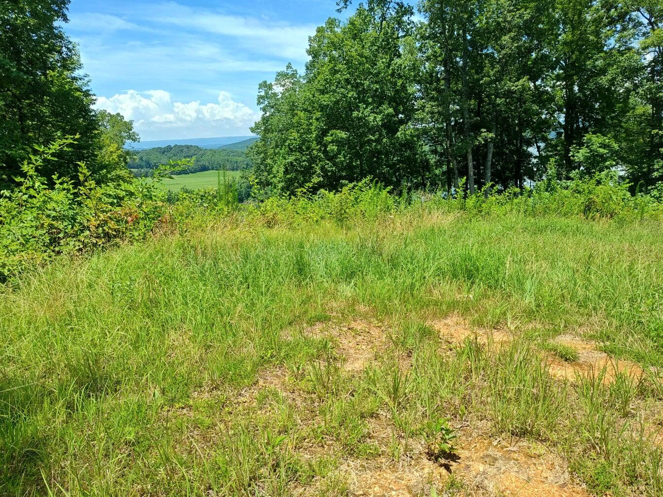 6428 Espalier Drive Decatur, TN 37322 - Photo 15 of 24 20260402185911113651000000-o