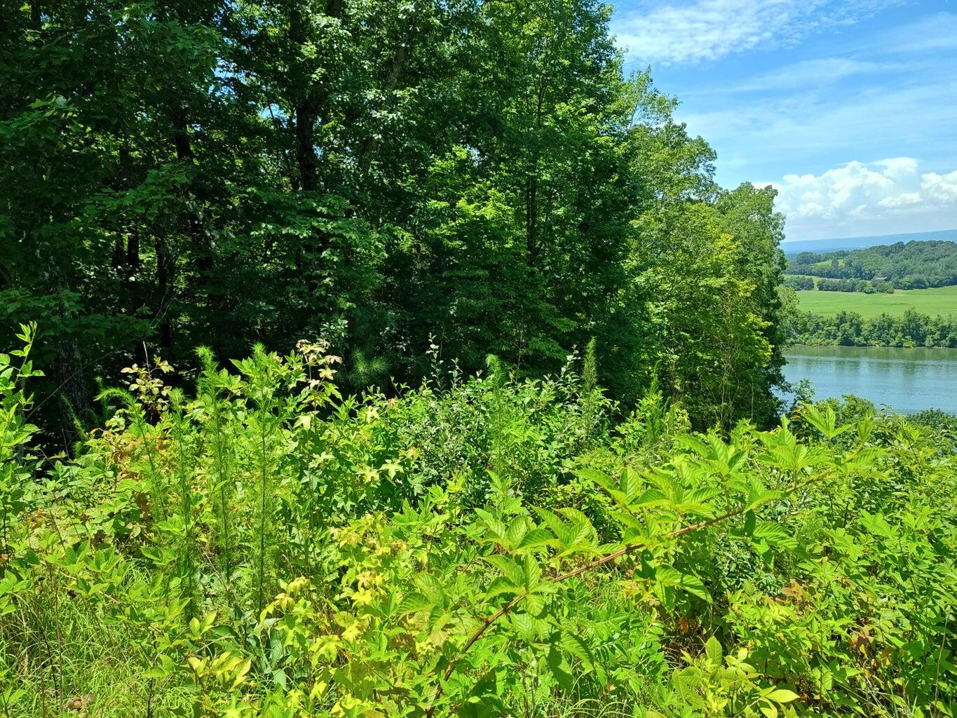 6428 Espalier Drive Decatur, TN 37322 - Photo 17 of 24 20260402185911276500000000-o