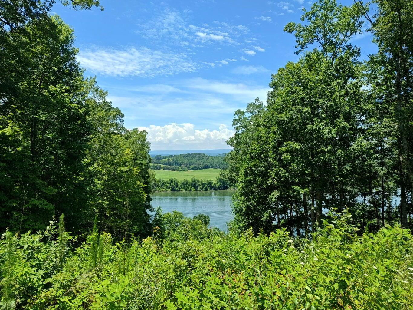 6428 Espalier Drive Decatur, TN 37322 - Photo 9 of 24 20260402185910664454000000-o