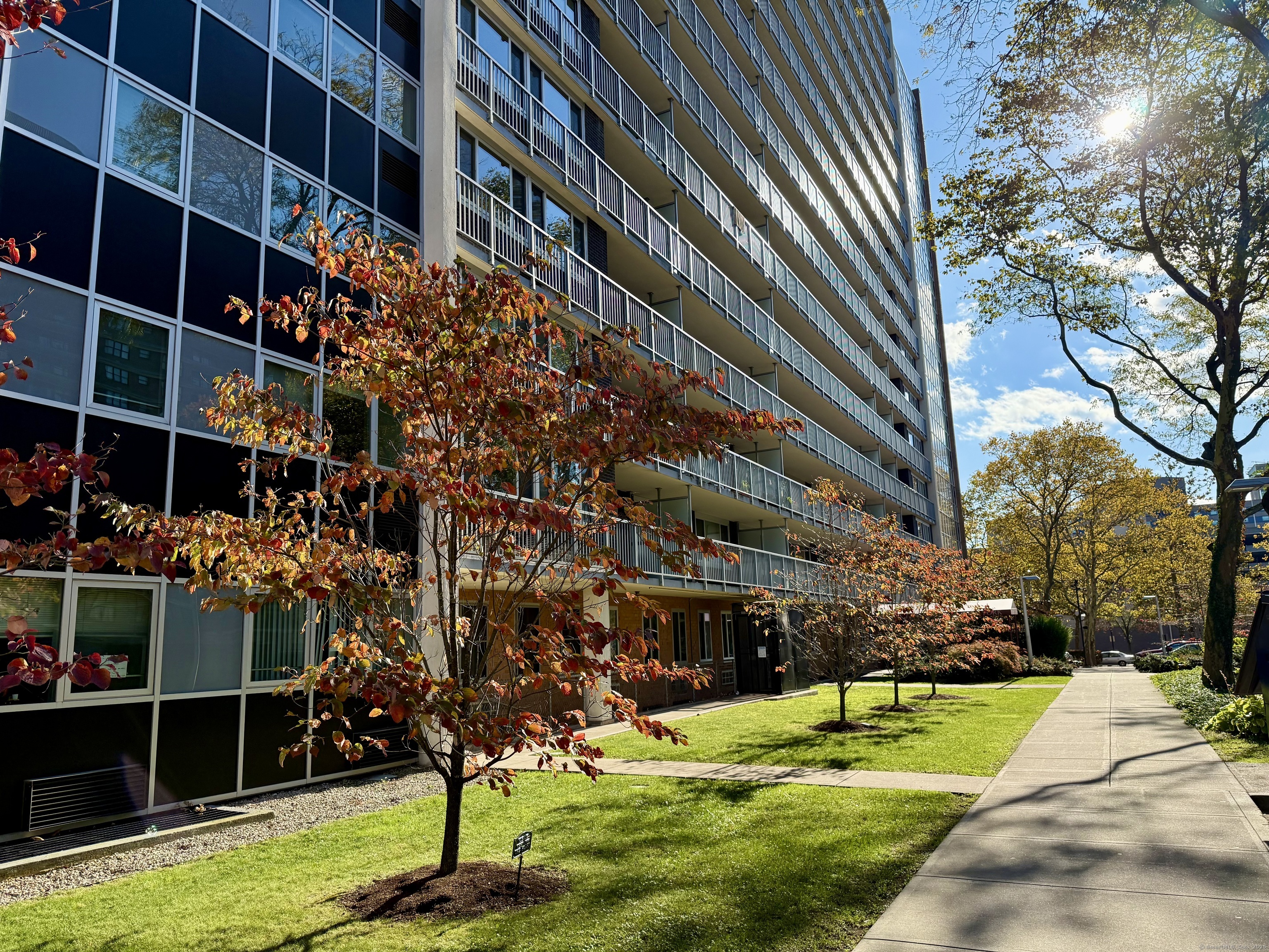 100 York Street, Unit 12S New Haven, CT 06511 - Photo 34 of 35 a view of swimming pool with a yard and plants
