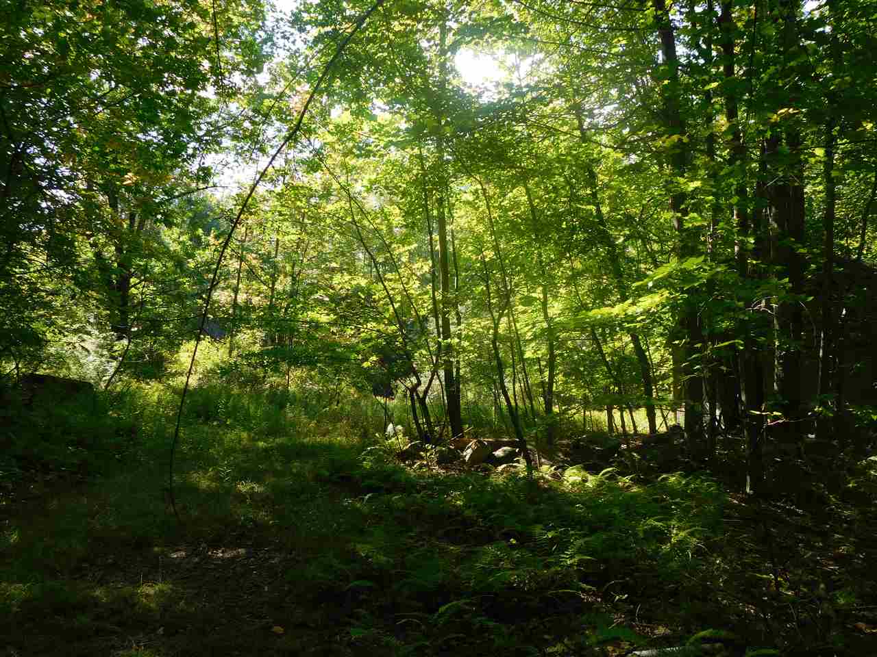 21 Effingham Road Ossipee, NH 03864 - Photo 13 of 34 Gallery Image 13