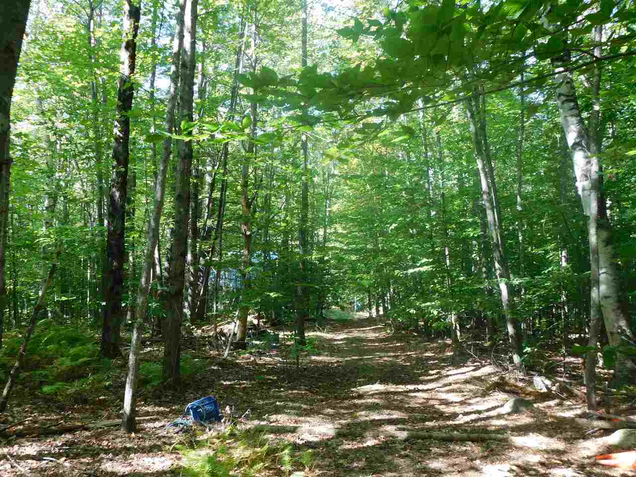 21 Effingham Road Ossipee, NH 03864 - Photo 14 of 34 Gallery Image 14